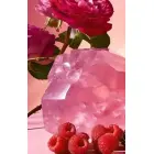 Roja London Elixir духи для женщин 50 мл Фото num