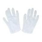Antistatic safety gloves size L Photo