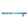 Nylon collar with QR code for Waudog gradient dog, blue , size L Photo
