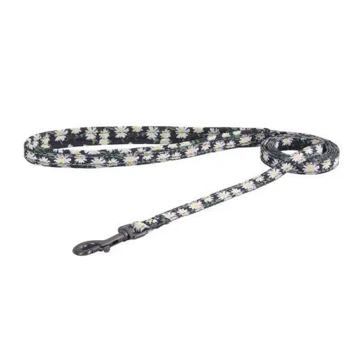 Dogness walking set leash+harness for dog (multicolor) Фото num