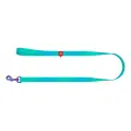 WAUDOG gradient nylon dog leash, 15mm wide, 122cm long, blue Photo