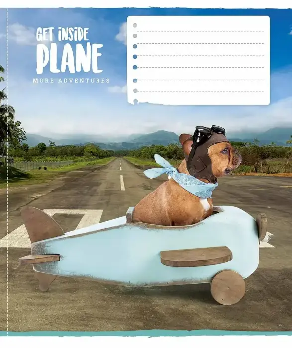 Burtnīca rūtiņu, 12 lapas Foto 5