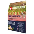 Sausā barība kucēniem - Ontario Puppy and Junior Large, Chicken and Potatoes, 2.25kg Foto 1