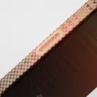 Pitaka Ultra-Slim Case, Sunset (PitaTap) - iPhone 16 Pro Max — Foto 5