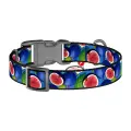 Waudog "Fig" nylon dog collar with QR code, size S Фото num