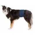 Autiņbiksītes suņiem : Trixie Diapers for male dogs, mesh material, L: 55–65 cm, dark blue Foto 1