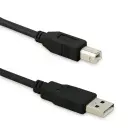 Qoltec USB 2.0 cable A male | B male | 0.5m Foto 1