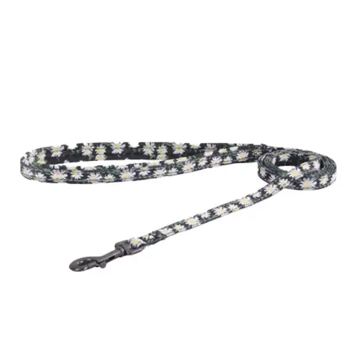Cat set Dogness harness and leash (Daisy Black) Фото num