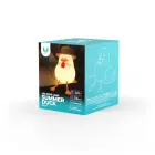LED Night Lamp SUMMER DUCK FNL-11 Forever Light Photo