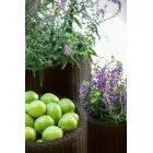 Puķu podu komplekts Cylinder Planters S+M+L brūns — Foto 4