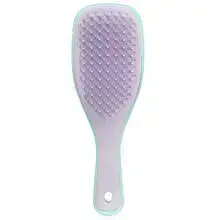 Tangle Teezer Wet Detangler Mini Mint/Lilac