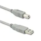 Qoltec USB 2.0 cable A male | B male | 1m Foto 1