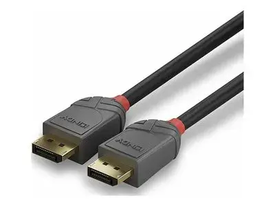 Lindy Anthra Line - DisplayPort cable - DisplayPort to DisplayPort - 50 cm Фото num
