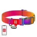 Nylon dog collar with QR code WAUDOG 15 mm wide, 25-35 cm long orange Фото num