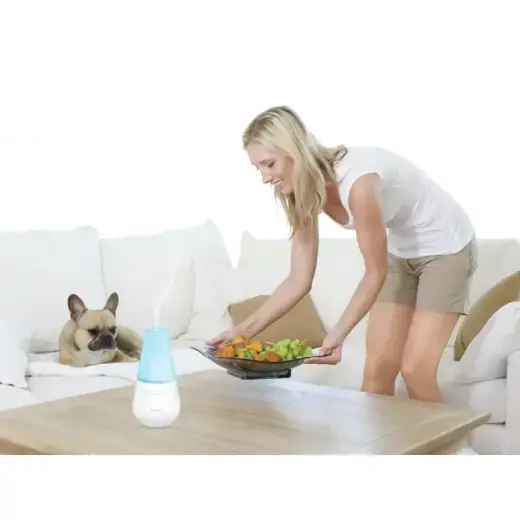 Освежитель воздуха Valencia Фото num