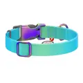 Nylon collar with QR code for Waudog gradient dog, blue , size L Photo
