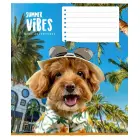 Burtnīca rūtiņu, 12 lapas Foto 4