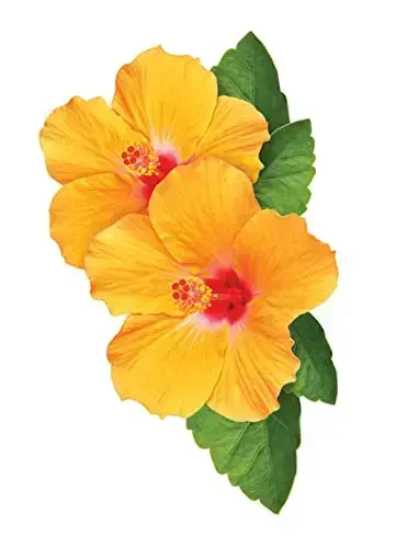 Chi by CHI CURLYCARE CURL CONDITIONER 12 OZ for UNISEX Фото num