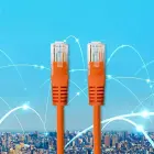 Qoltec Ethernet LAN network cable | Cat5e | UTP | 3m — Photo 7