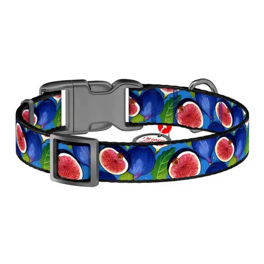 Waudog "Fig" nylon dog collar with QR code, size XL Фото num