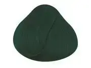 La Riche Unisex Directions Semi-Permanent Hair Color 88ml Tubs - ALPINE GREEN - One Size