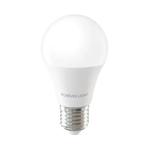 Forever Light LED Bulb E27 A55 4W 480lm 6000K class E Foto 2