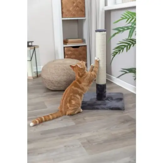 Nagu asināmais - Trixie Batres scratching post, 62 cm, platinum grey Foto 2