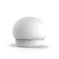 Night lamp W-008 Mushroom white Photo