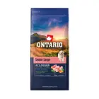 Barība suņiem – Ontario Senior Large, Chicken and Sweet Potatoes, 12 kg Foto 1