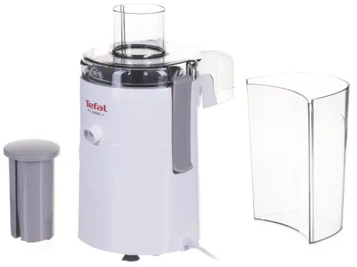 TEFAL sulu spiede Fruitelia, 350 W, balta Photo