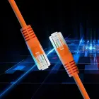 Qoltec Ethernet LAN network cable | Cat5e | UTP | 3m — Photo 2