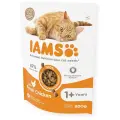 Sausā barība kaķiem - IAMS CAT ADULT CHICKEN, 800 gr Foto 1