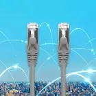 Qoltec Ethernet LAN network cable | Cat5e | FTP | 10Gbps | 2m — Photo 7