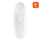 Smart ceiling lamp 30cm WiFi/Bluetooth 16M RGBCW Gosund LB12 1920lm Tuya + Remote Control. Фото num