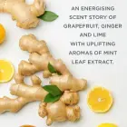 Baylis & Harding Wellness. for Men. Revive Gift Set for the Bath for Men Foto 4