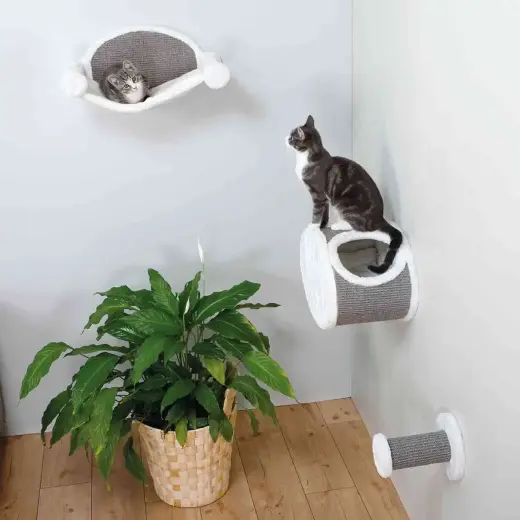 Nail sharpener : Trixie Climbing step for wall mounting, ø 18 × 22 cm, cream Photo