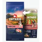 Barība kucēniem – Ontario Puppy and Junior Large, Chicken and Sweet Potatoes, 12 kg Foto 2