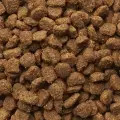 Сухой корм для кошек - IAMS CAT ADULT HAIRBALL CHICKEN, 10 кг Фото num