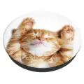 Popsockets 2 Snoozy Cat Holder and Phone Stand Photo