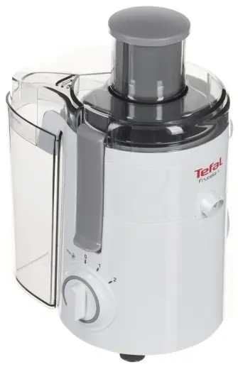 TEFAL sulu spiede Fruitelia, 350 W, balta Photo