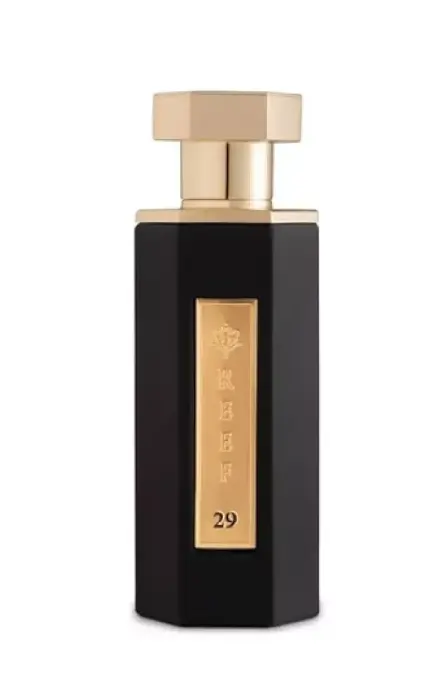 Reef Perfumes Reef 29 (EDP) Eau de Parfum Unisex 100 ml