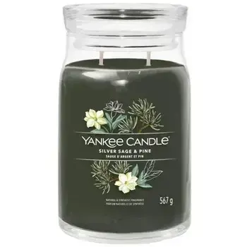 Yankee Candle Silver Sage & Pine Signature Candle 110.0g