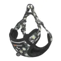 Cat set Dogness harness and leash (Daisy Black) Фото num
