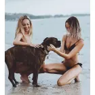 Apple AirTag Silicone Case for Dog or Cat Collar - Black Photo