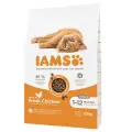 Сухой корм для котят - IAMS CAT KITTEN CHICKEN, 10 кг Фото num