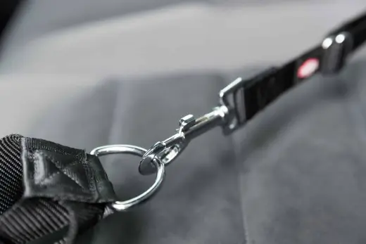 Auto pavada - Trixie Seatbelt for car harnesses, XS–S: 30–45 cm|20 mm Foto 4