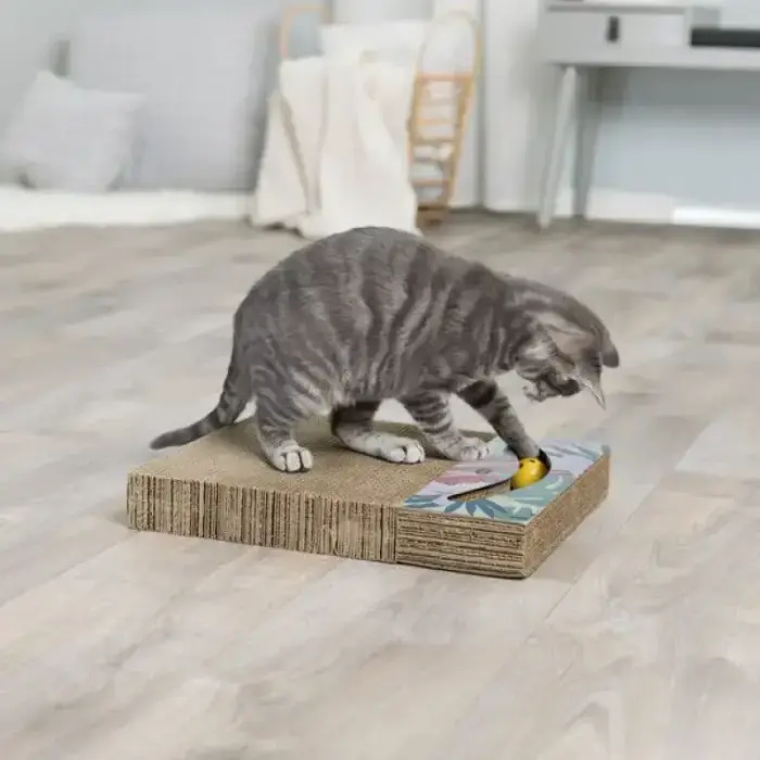 Nagu asināmais - Trixie Scratching cardboard with toys, 38 x 5 x 30 cm Фото num