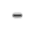 Adapter APPLE MW5M3ZM|A blister USB-C na cyfrowe AV A2119 Фото num