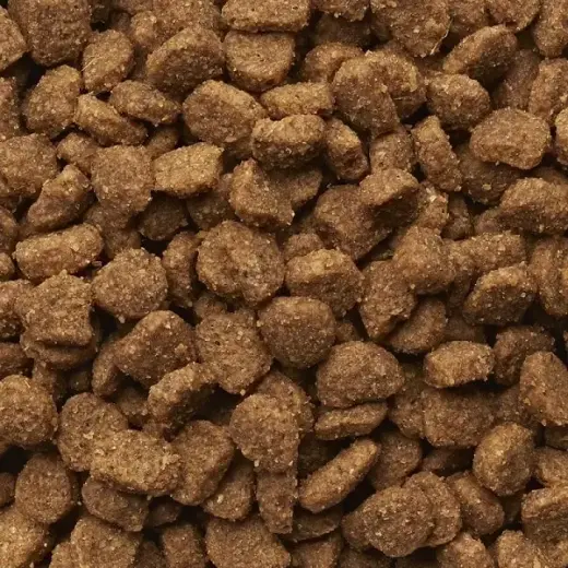 Сухой корм для кошек - IAMS CAT ADULT HAIRBALL CHICKEN, 10 кг Фото num