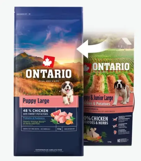 Barība kucēniem – Ontario Puppy and Junior Large, Chicken and Sweet Potatoes, 12 kg Foto 2